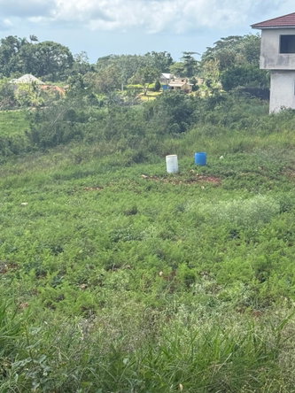 Sixteenth image of Edinburgh in Newport, Manchester, Jamaica - property is For Sale