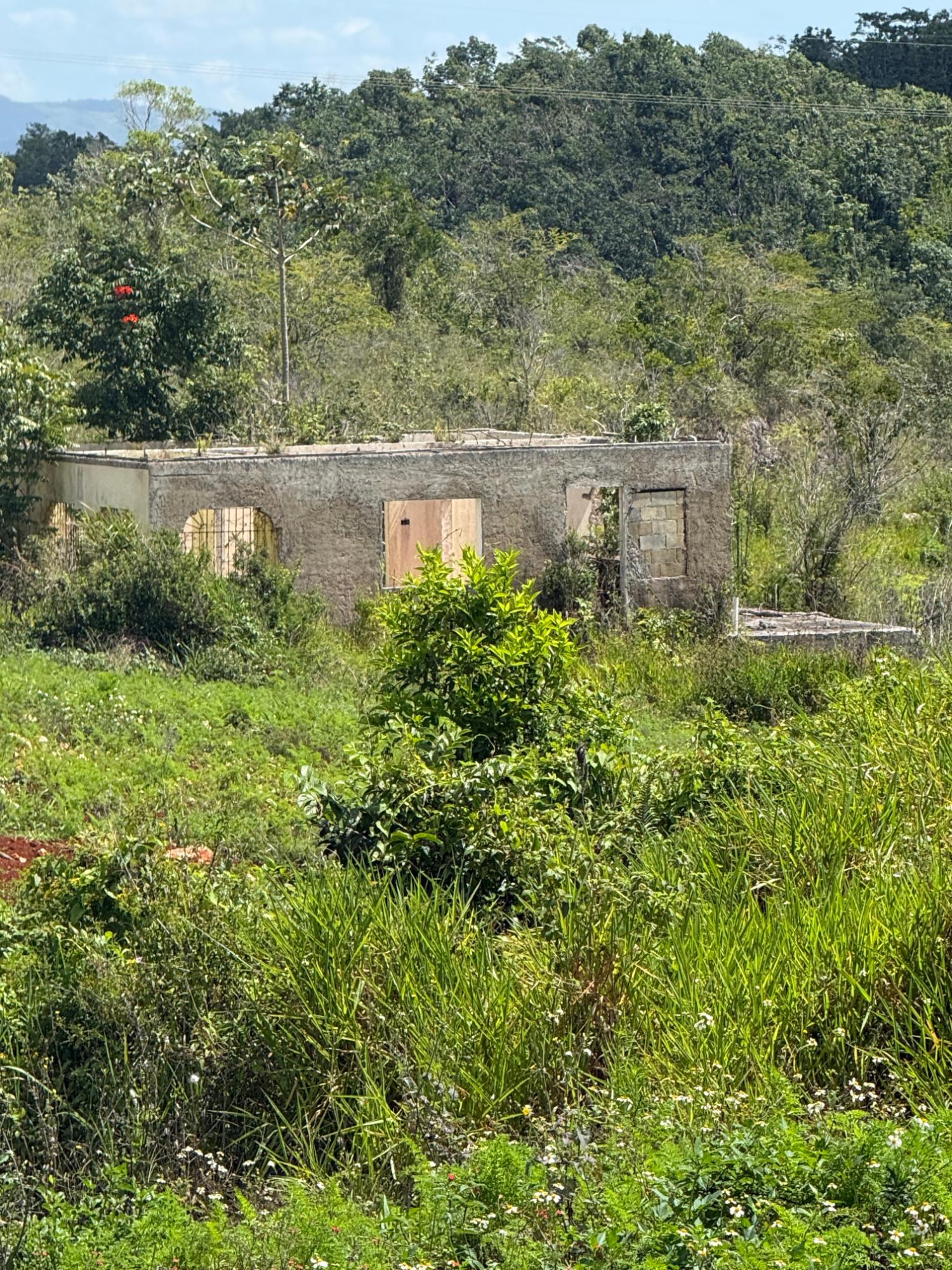 Fourth image of Edinburgh in Newport, Manchester, Jamaica - property is For Sale