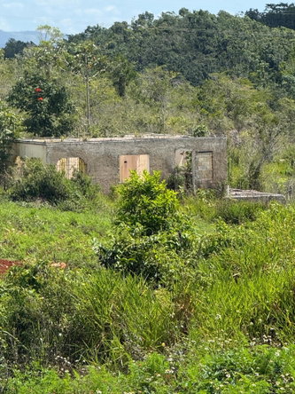 Fourth image of Edinburgh in Newport, Manchester, Jamaica - property is For Sale