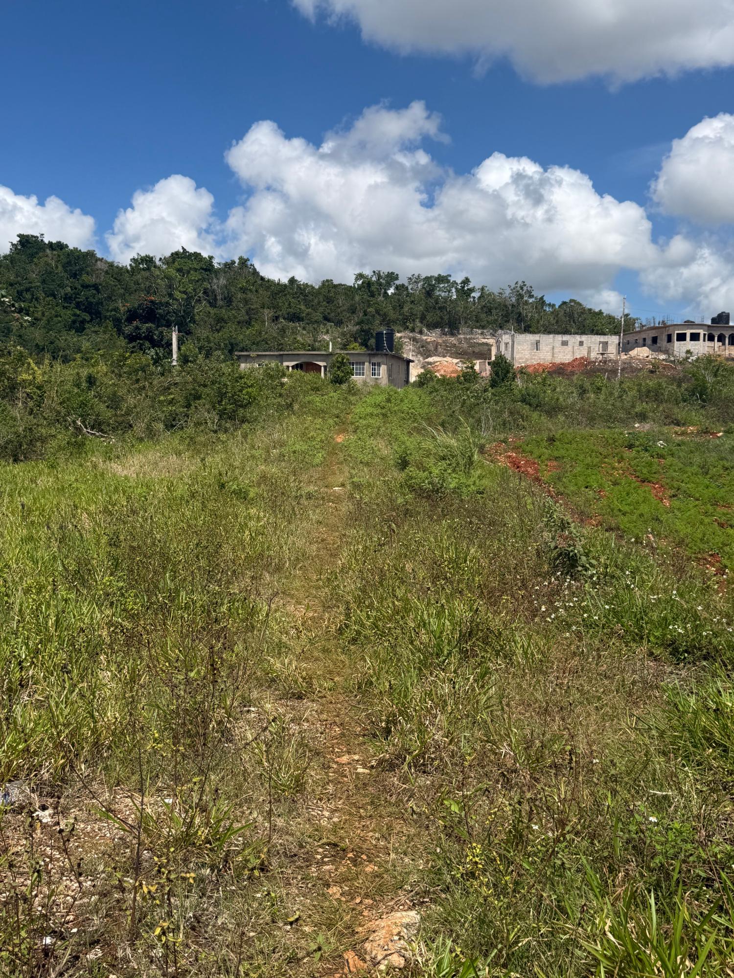 Fifth image of Edinburgh in Newport, Manchester, Jamaica - property is For Sale