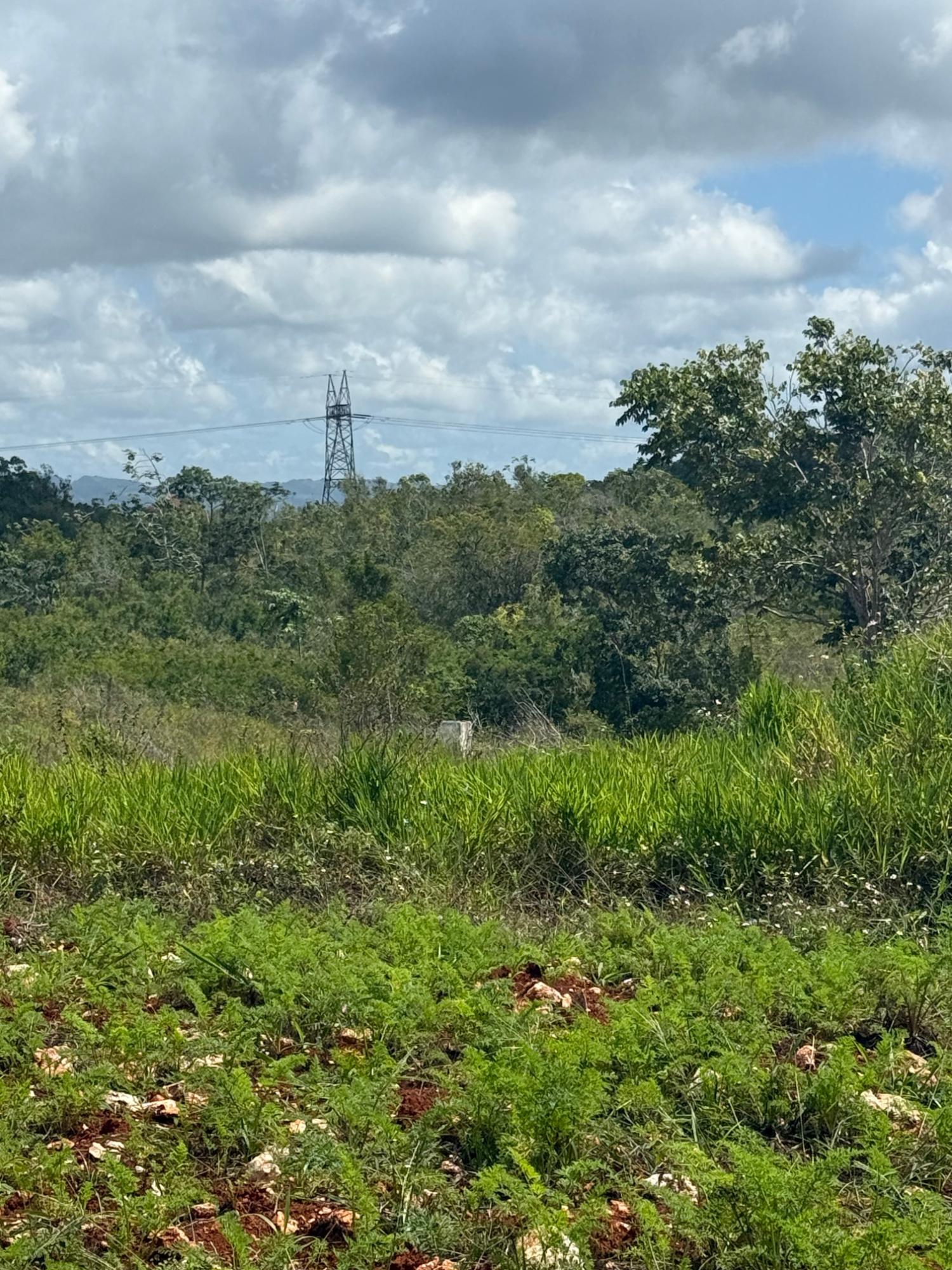 Sixth image of Edinburgh in Newport, Manchester, Jamaica - property is For Sale