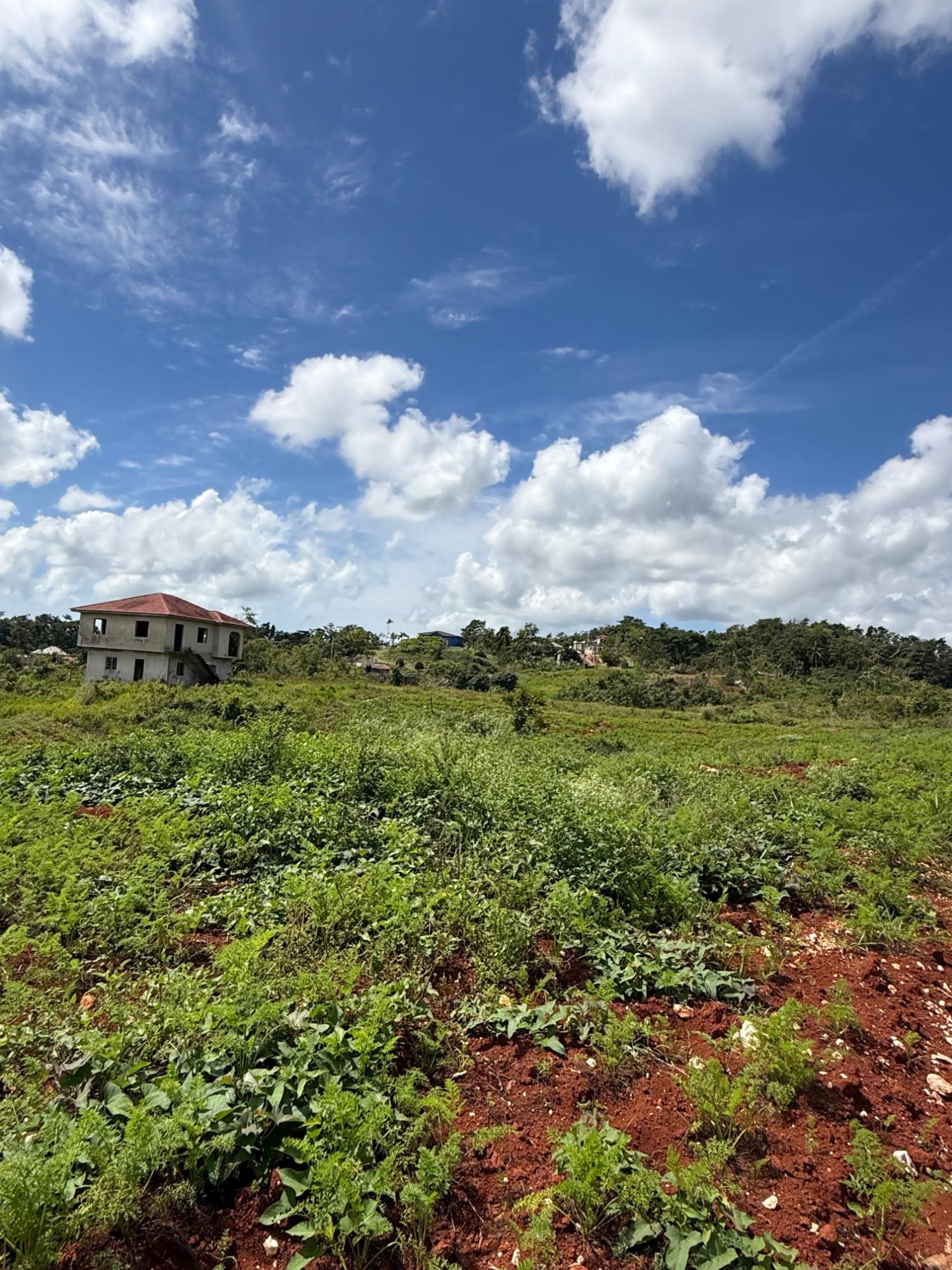 Seventh image of Edinburgh in Newport, Manchester, Jamaica - property is For Sale