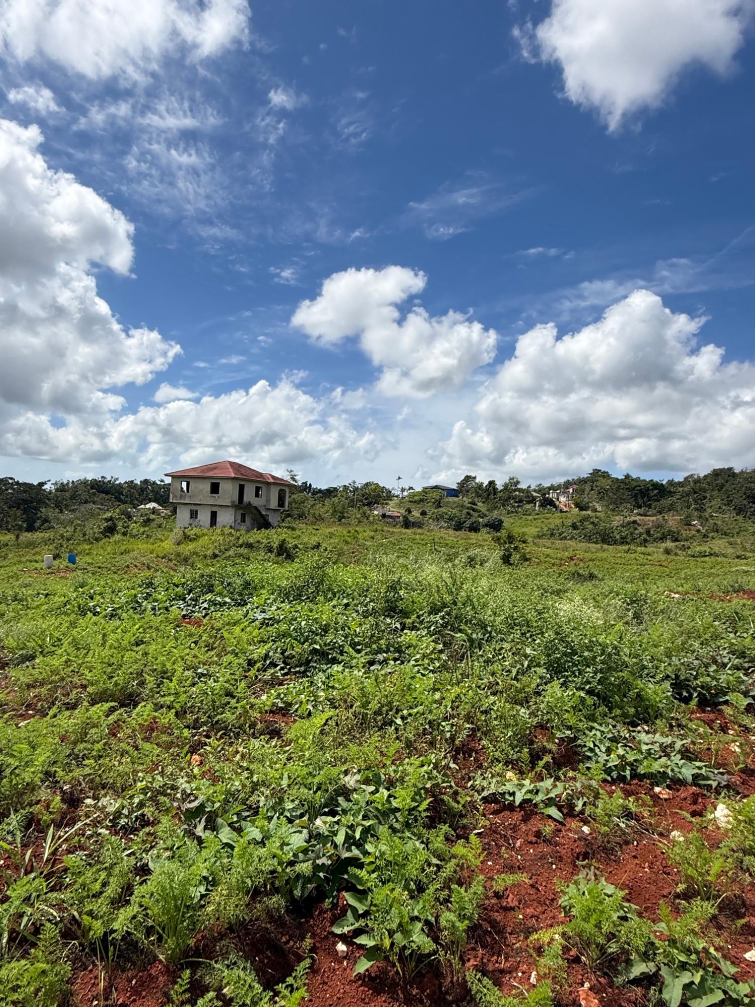 Eighth image of Edinburgh in Newport, Manchester, Jamaica - property is For Sale
