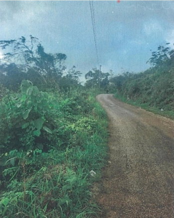 First image of Land, Manchester in Cross Keys, Manchester, Jamaica - property is For Sale