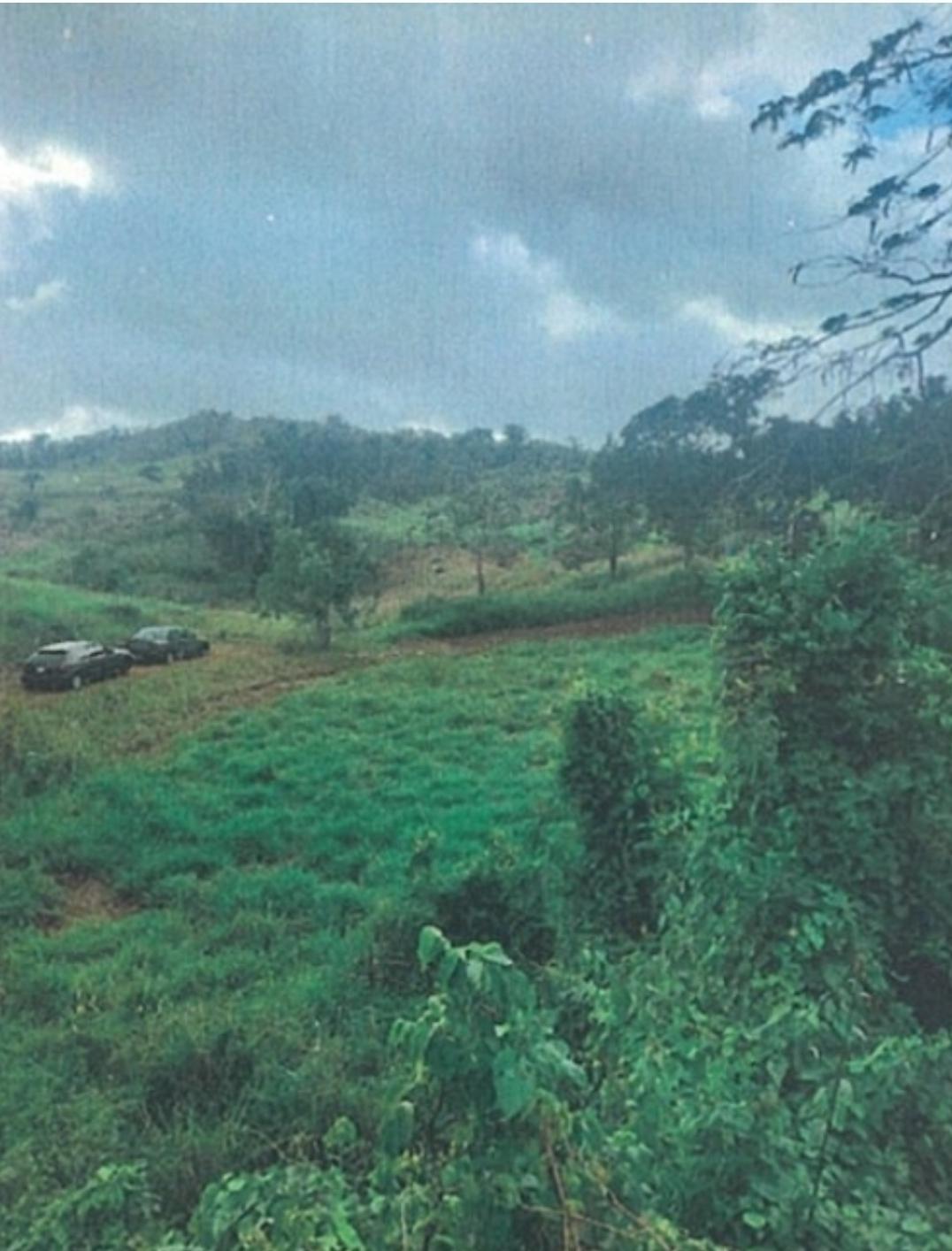 Second image of Land, Manchester in Cross Keys, Manchester, Jamaica - property is For Sale