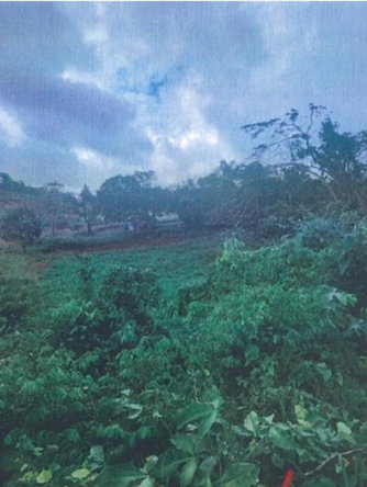 Third image of Land, Manchester in Cross Keys, Manchester, Jamaica - property is For Sale
