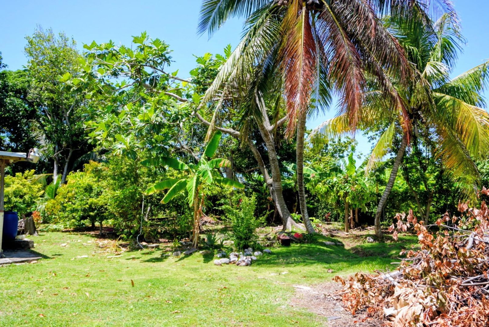 Eleventh image of 129 Spring Valley, st Mary in Tower Isle, St. Mary, Jamaica - property is For Sale