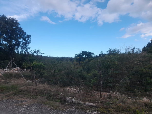 Twenty-Seventh image of Lot-79c Albion Heights Alpine Ave in Albion Estate, St. Thomas, Jamaica - property is For Sale