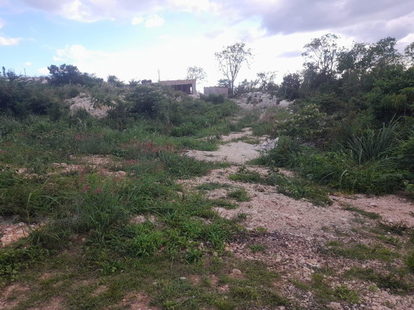Thirtieth image of Lot-79c Albion Heights Alpine Ave in Albion Estate, St. Thomas, Jamaica - property is For Sale