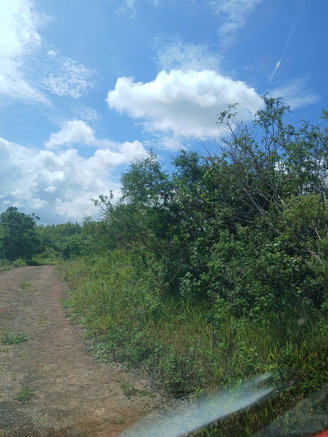 First image of Knockpatrick 6.6 Acre Lot in Mandeville, Manchester, Jamaica - property is For Sale
