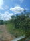 First image of Knockpatrick 6.6 Acre Lot in Mandeville, Manchester, Jamaica - property is For Sale