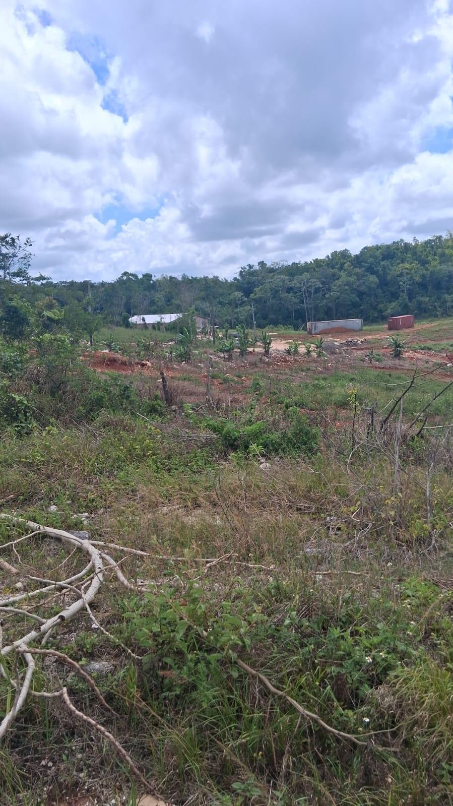 Tenth image of Knockpatrick 6.6 Acre Lot in Mandeville, Manchester, Jamaica - property is For Sale