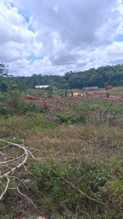 Tenth image of Knockpatrick 6.6 Acre Lot in Mandeville, Manchester, Jamaica - property is For Sale