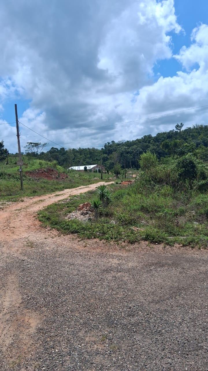 Eleventh image of Knockpatrick 6.6 Acre Lot in Mandeville, Manchester, Jamaica - property is For Sale