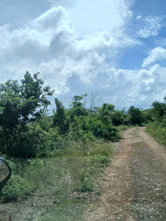 Second image of Knockpatrick 6.6 Acre Lot in Mandeville, Manchester, Jamaica - property is For Sale