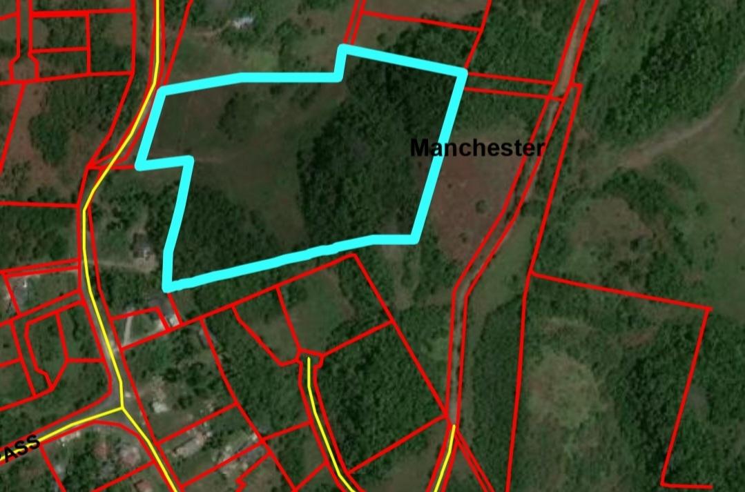 Sixth image of Knockpatrick 6.6 Acre Lot in Mandeville, Manchester, Jamaica - property is For Sale