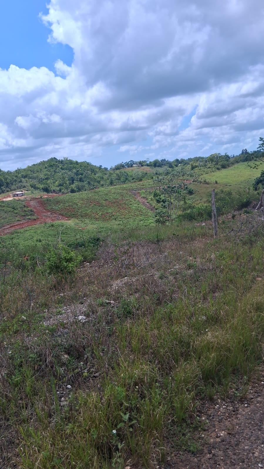 Seventh image of Knockpatrick 6.6 Acre Lot in Mandeville, Manchester, Jamaica - property is For Sale