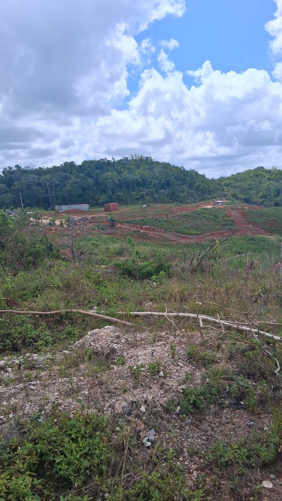 Ninth image of Knockpatrick 6.6 Acre Lot in Mandeville, Manchester, Jamaica - property is For Sale