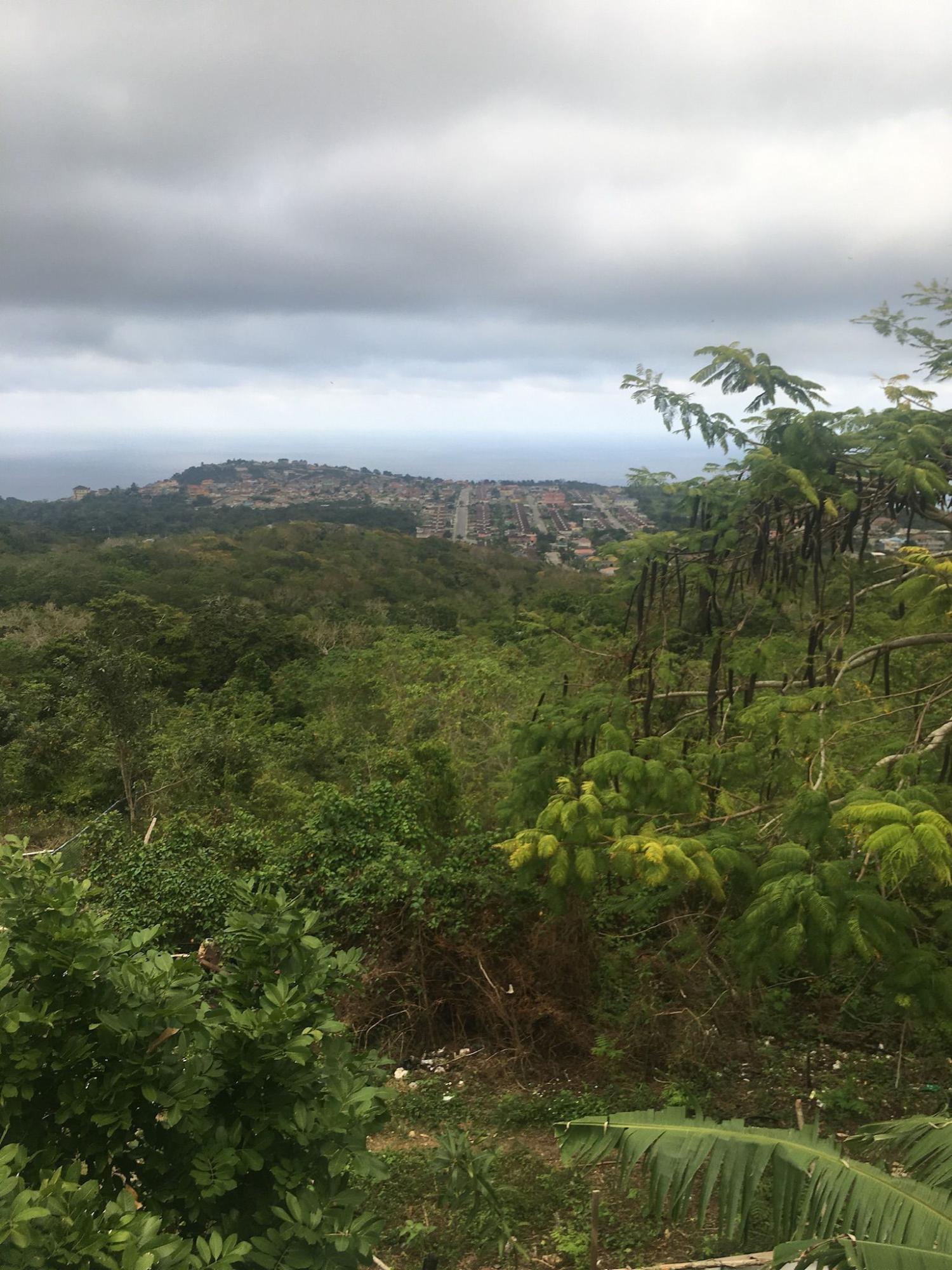 Tenth image of Palmyra in Palmyra, St. James, Jamaica - property is For Sale