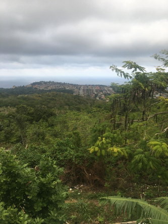 Tenth image of Palmyra in Palmyra, St. James, Jamaica - property is For Sale