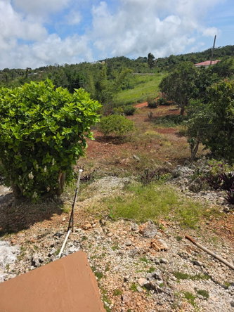 Twenty-Ninth image of Corby Southfield in Southfield, St. Elizabeth, Jamaica - property is For Sale