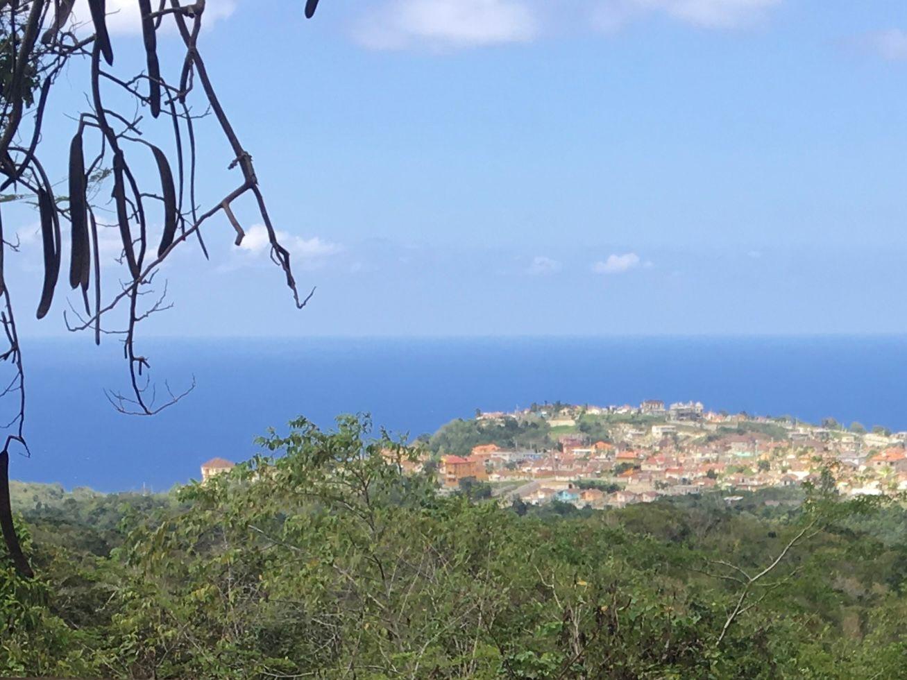 First image of Palmyra, Patient Valley, in Palmyra, St. James, Jamaica - property is For Sale