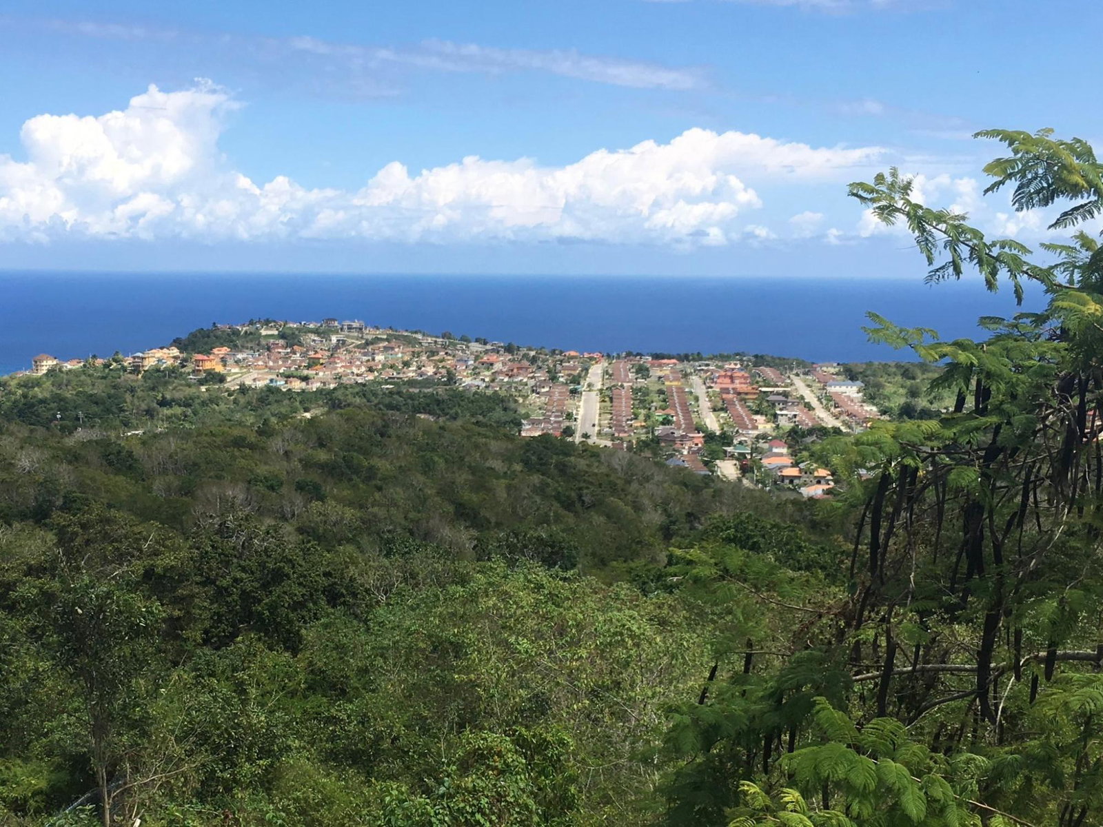 Third image of Palmyra, Patient Valley, in Palmyra, St. James, Jamaica - property is For Sale