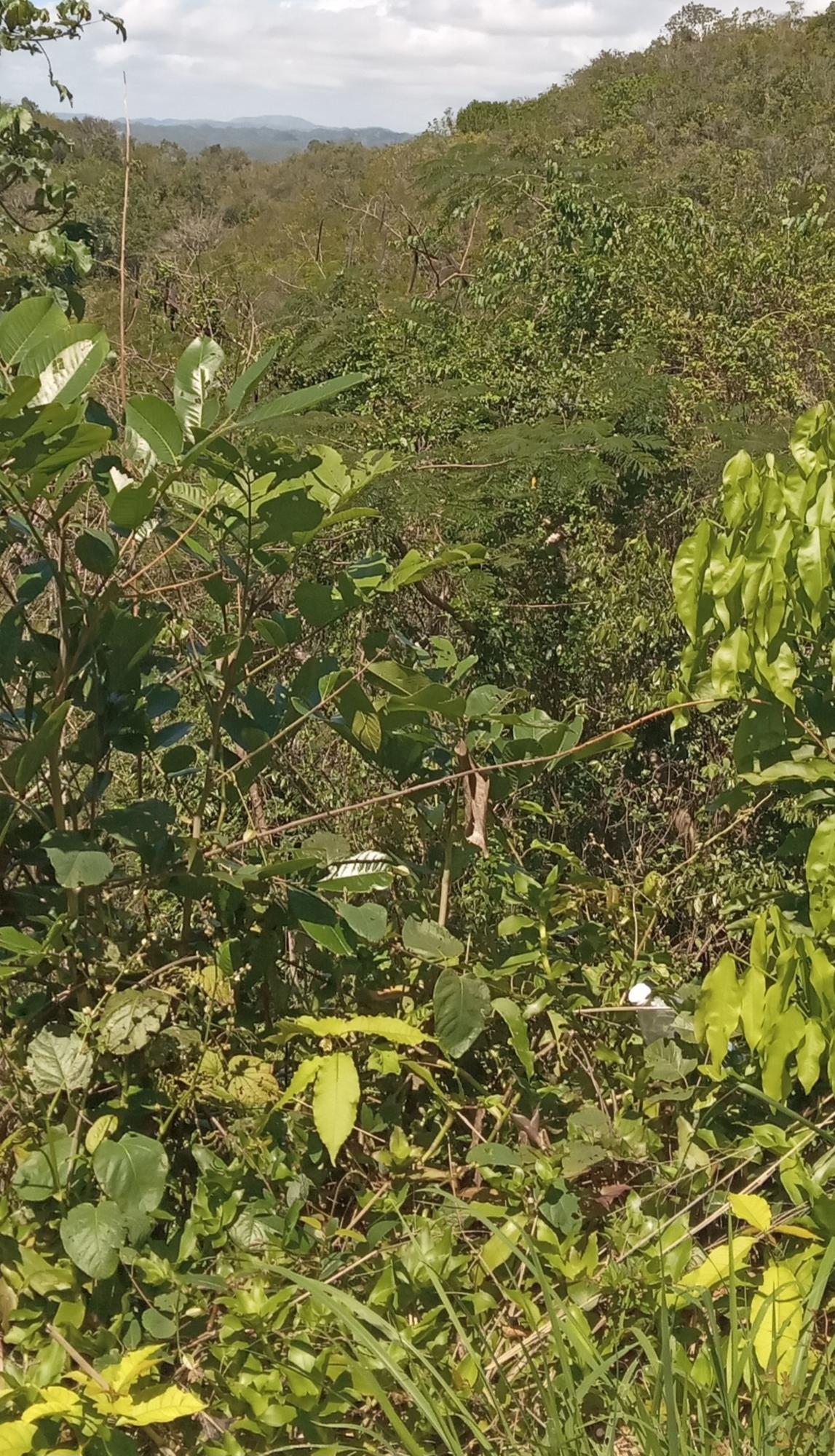 Second image of St. Jago Hills in Sligoville, St. Catherine, Jamaica - property is For Sale