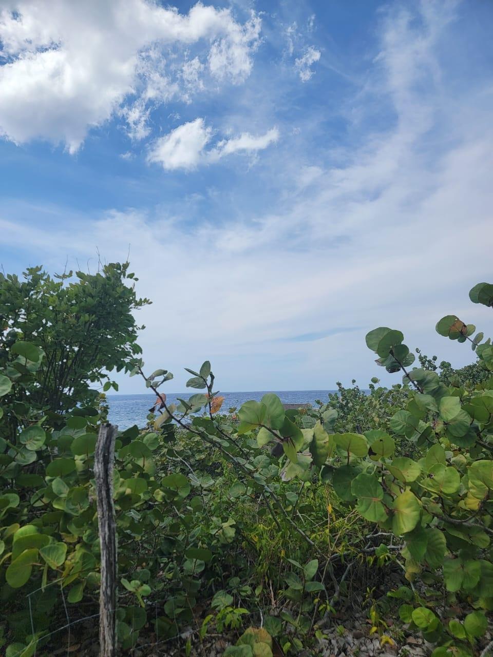 Twenty-Seventh image of Somewhere Deep West in Negril, Westmoreland, Jamaica - property is For Sale