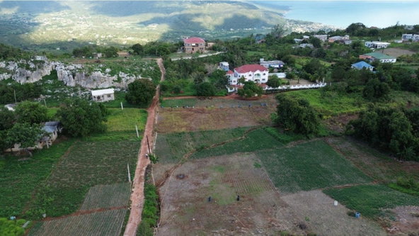 First image of Bull Savannah, st Elizabe in BULL SAVANNA, St. Elizabeth, Jamaica - property is For Sale
