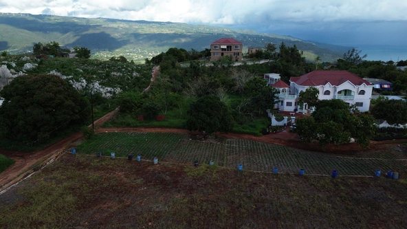 Fourth image of Bull Savannah, st Elizabe in BULL SAVANNA, St. Elizabeth, Jamaica - property is For Sale