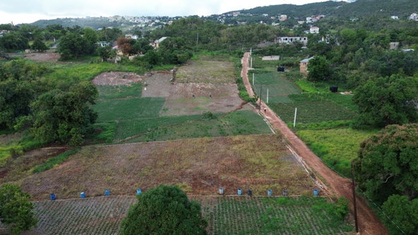 Fifth image of Bull Savannah, st Elizabe in BULL SAVANNA, St. Elizabeth, Jamaica - property is For Sale