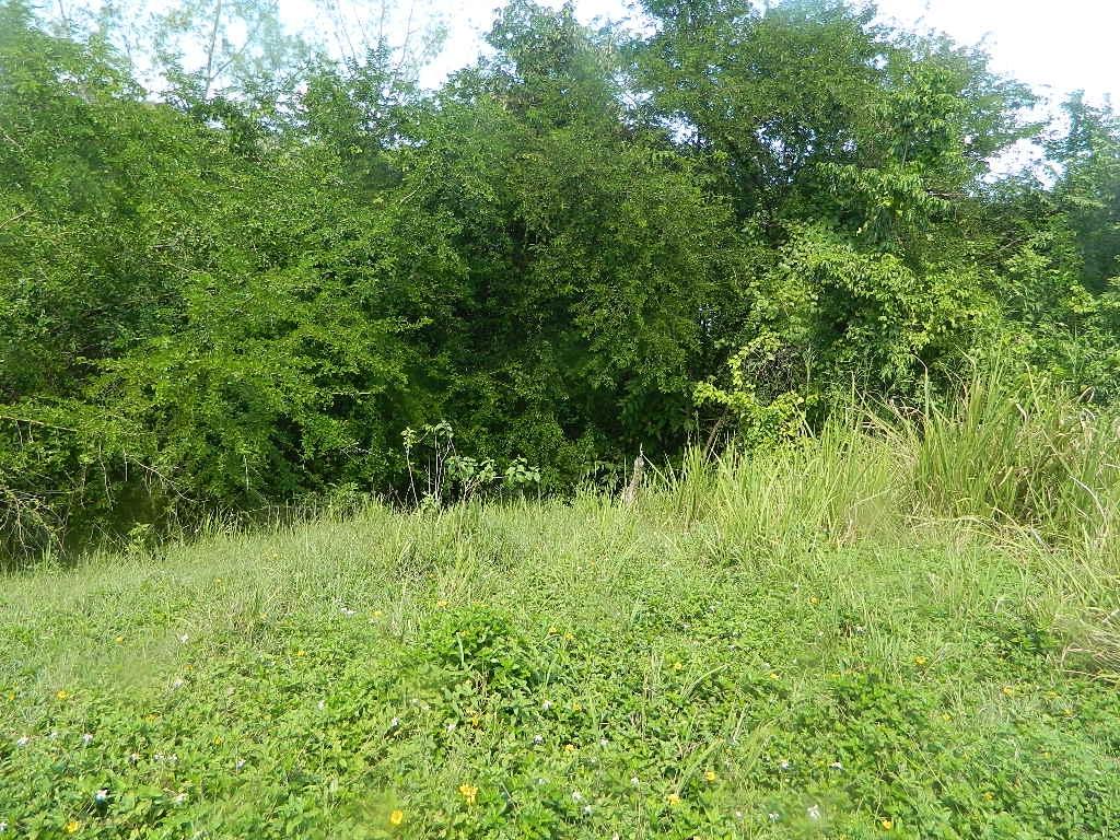 First image of 8 White Hall, Negril Estate in Whitehall, Westmoreland, Jamaica - property is For Sale