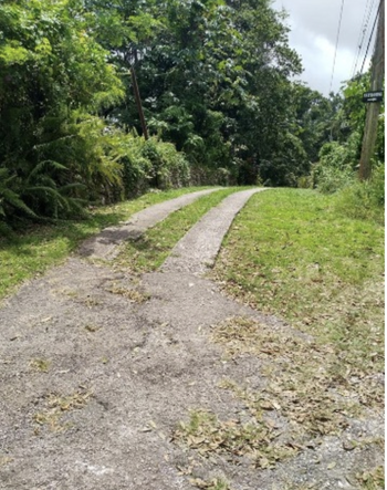 Tenth image of Kempshot in Kempshot Pen, St. James, Jamaica - property is For Sale