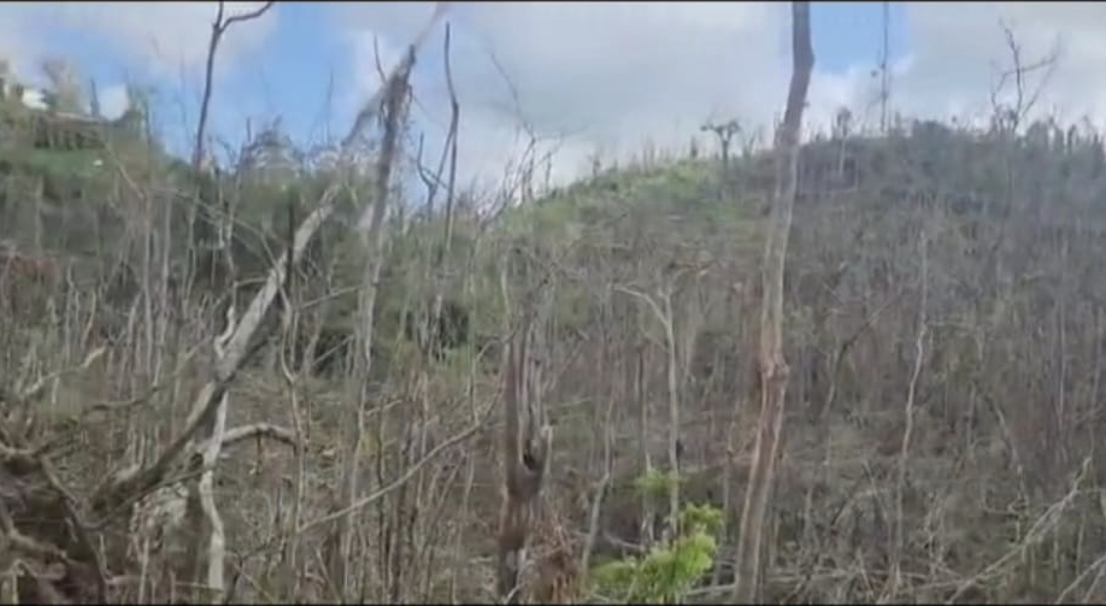 Eleventh image of Kempshot in Kempshot Pen, St. James, Jamaica - property is For Sale
