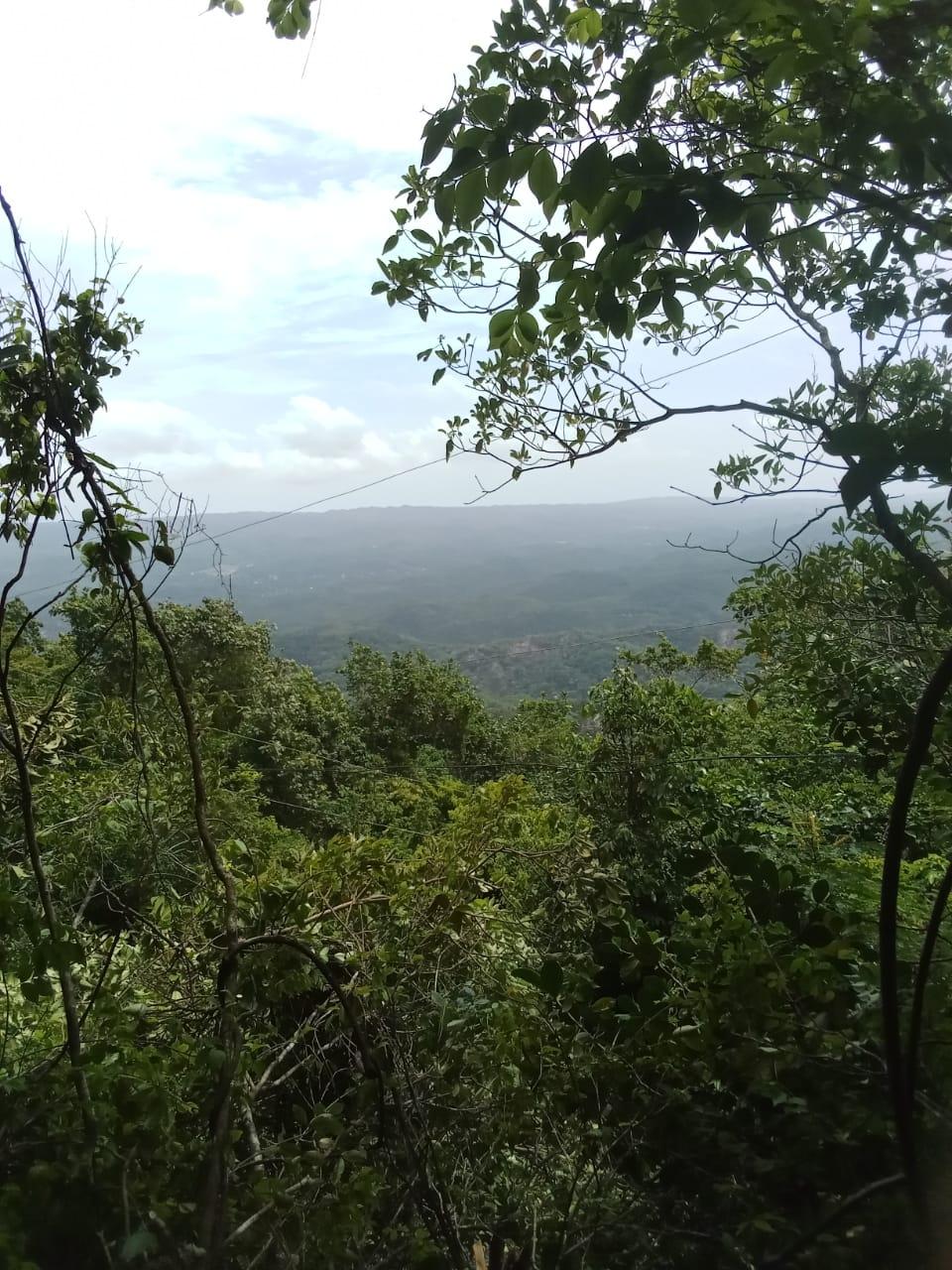 Second image of Kempshot in Kempshot Pen, St. James, Jamaica - property is For Sale