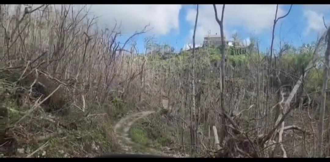 Third image of Kempshot in Kempshot Pen, St. James, Jamaica - property is For Sale