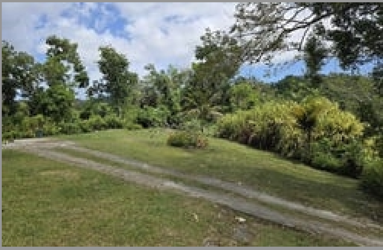 Fifth image of Kempshot in Kempshot Pen, St. James, Jamaica - property is For Sale