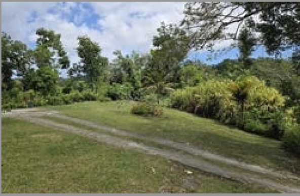 Fifth image of Kempshot in Kempshot Pen, St. James, Jamaica - property is For Sale