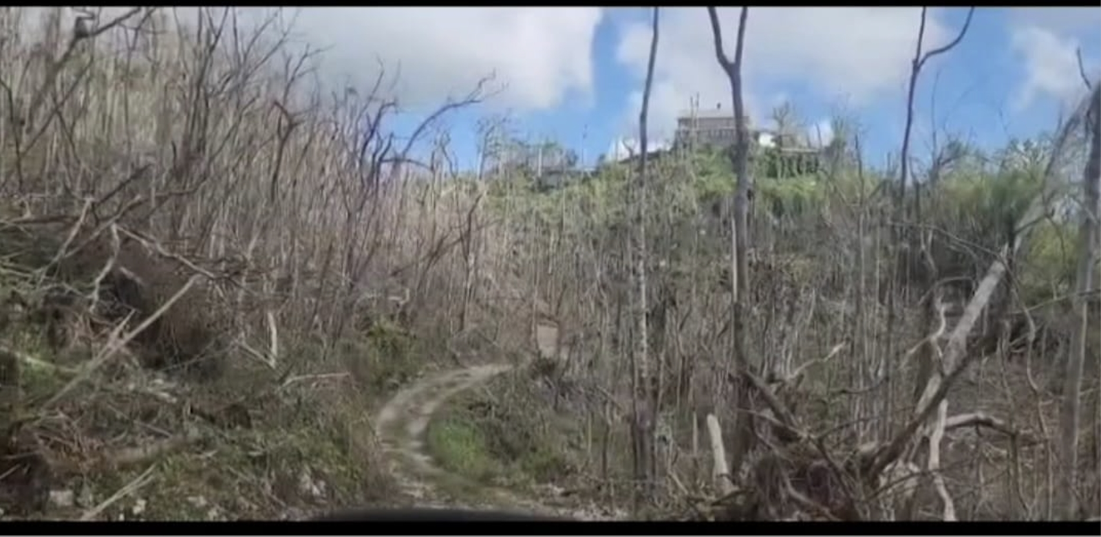 Seventh image of Kempshot in Kempshot Pen, St. James, Jamaica - property is For Sale