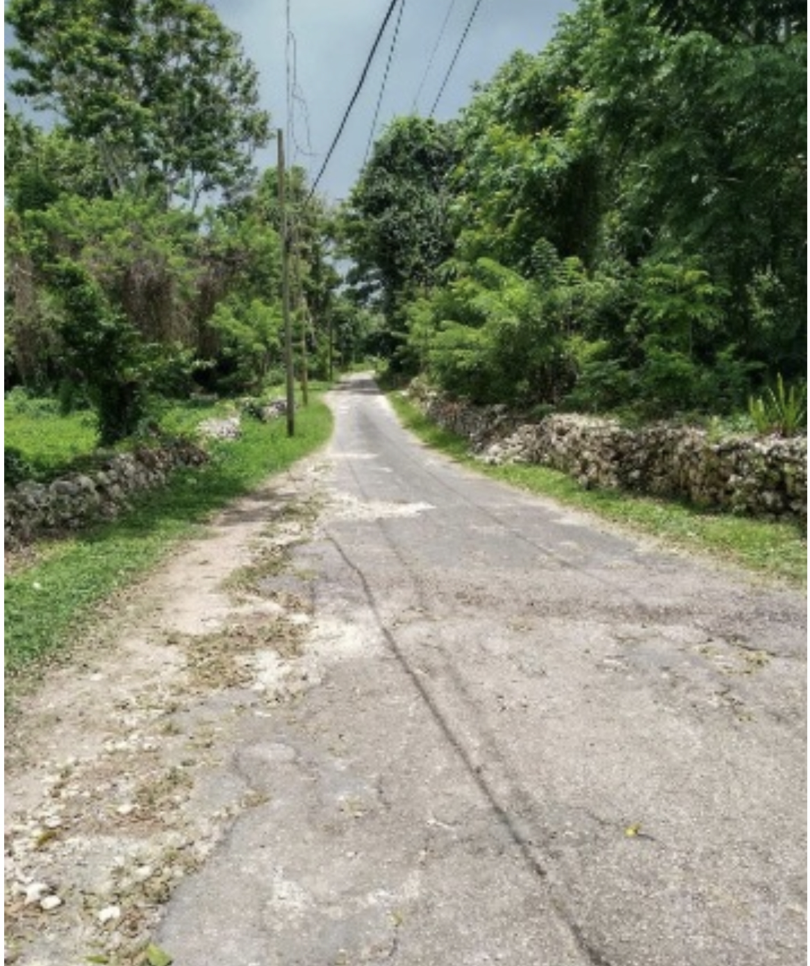 Eighth image of Kempshot in Kempshot Pen, St. James, Jamaica - property is For Sale