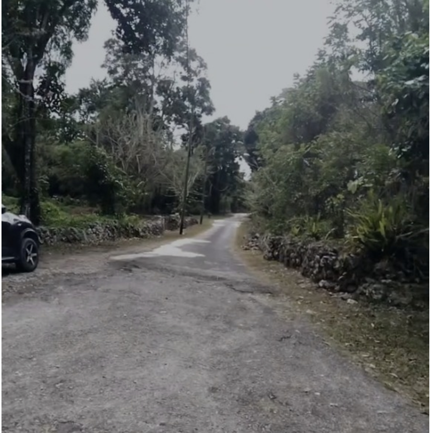 Ninth image of Kempshot in Kempshot Pen, St. James, Jamaica - property is For Sale