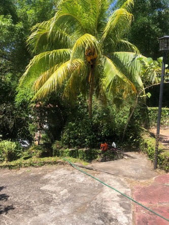 Seventh image of Lot 26- Eltham Close in Ocho Rios, St. Ann, Jamaica - property is For Sale