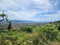First image of 405 Syngonum Road, Rosemount in Rosemount Gardens, St. James, Jamaica - property is For Sale