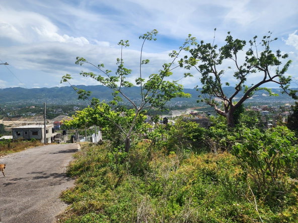 Second image of 405 Syngonum Road, Rosemount in Rosemount Gardens, St. James, Jamaica - property is For Sale