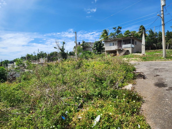 Fifth image of 405 Syngonum Road, Rosemount in Rosemount Gardens, St. James, Jamaica - property is For Sale