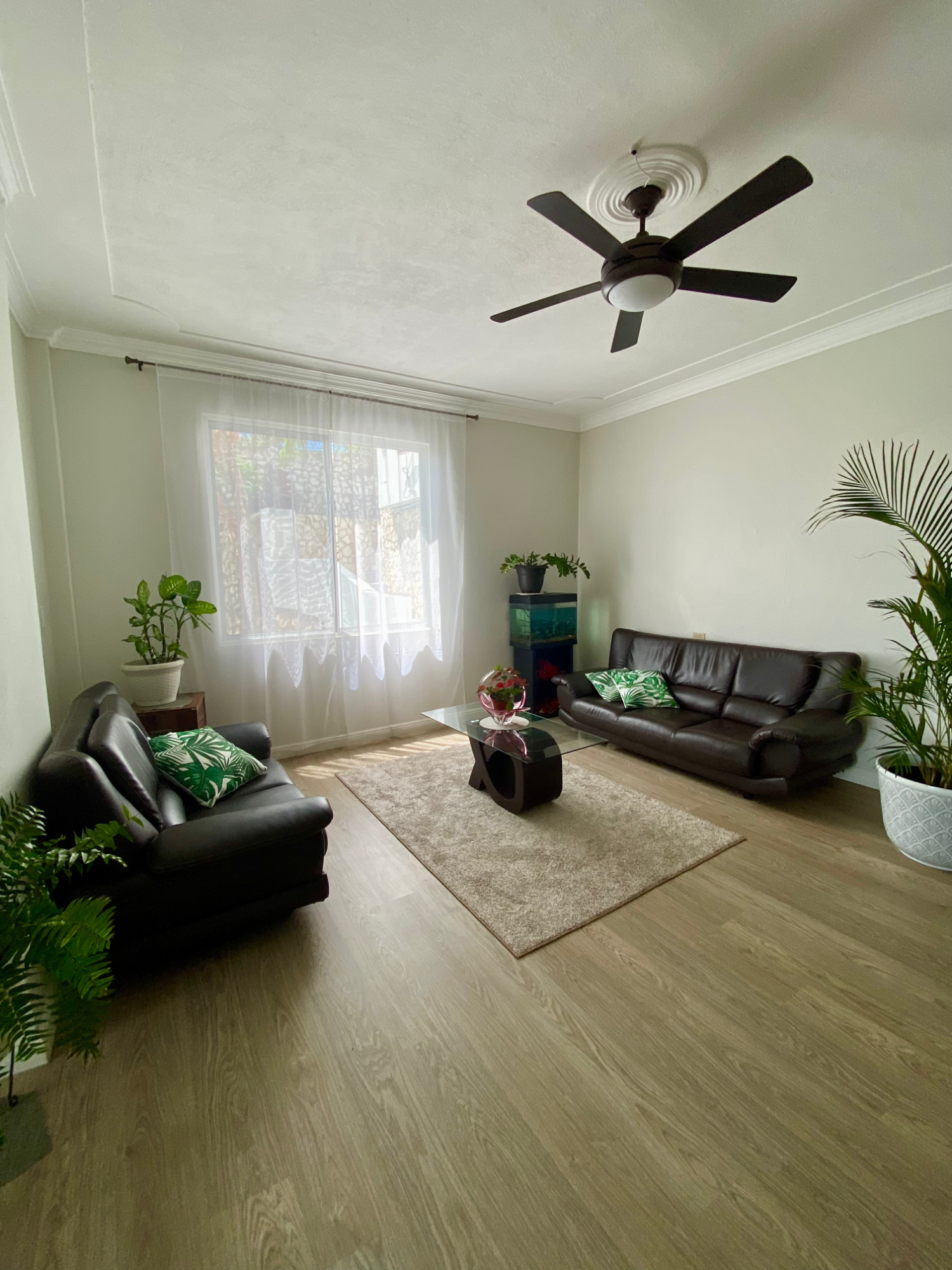 Seventeenth image of 46 Sunset Boulevard, Kingsto in Kingston 8, St. Andrew, Jamaica - property is For Sale