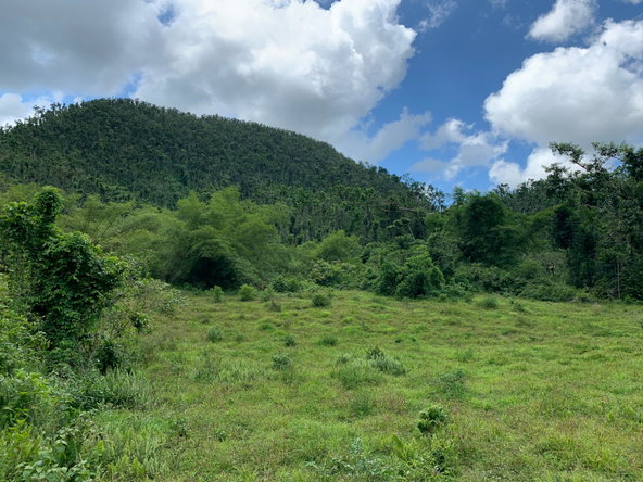 Third image of Lot 194 Unity in Bunkers Hill, Trelawny, Jamaica - property is For Sale