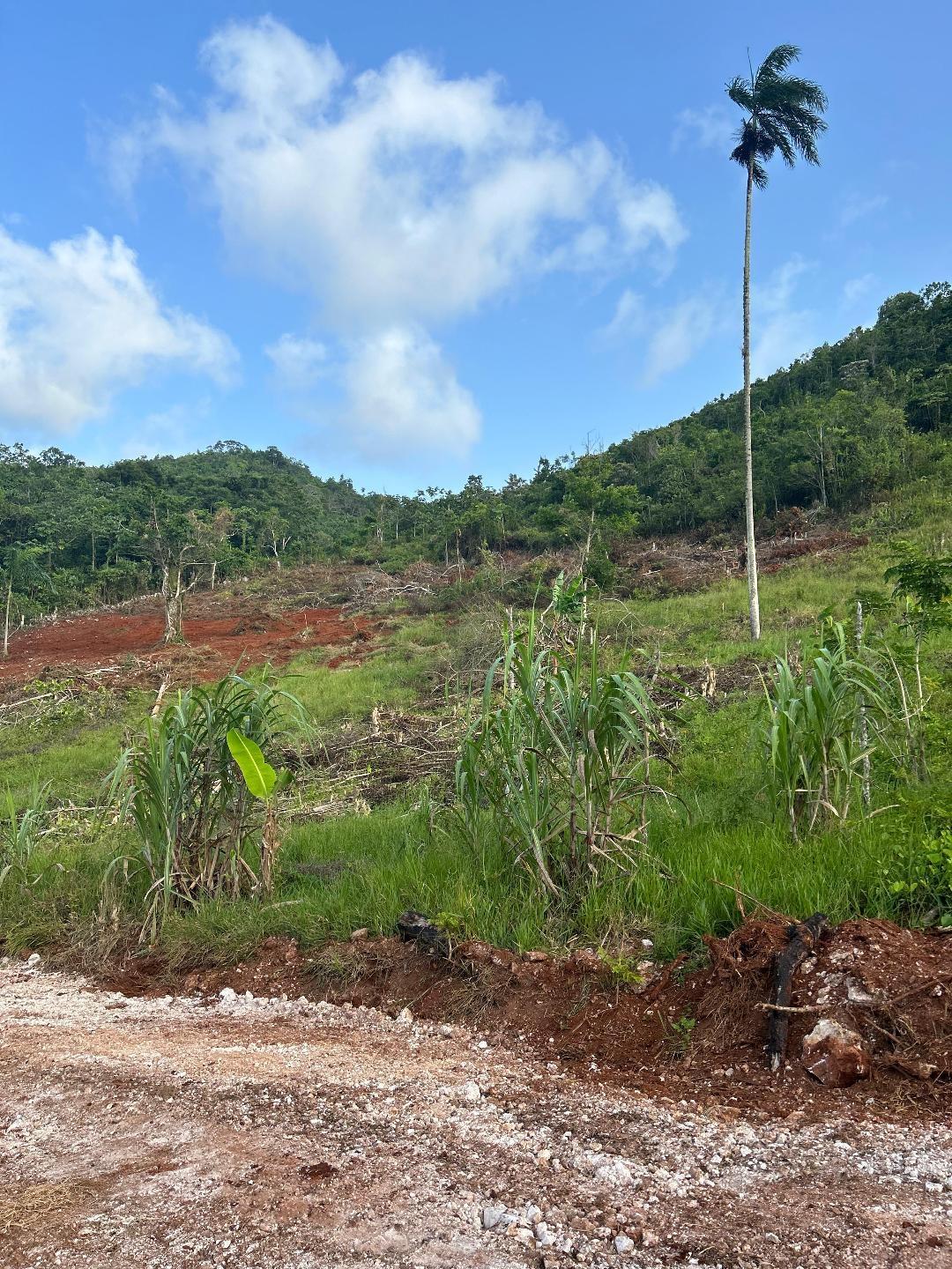 Twelfth image of Lot 2 Main Street, Claremont, s in Claremont, St. Ann, Jamaica - property is For Sale