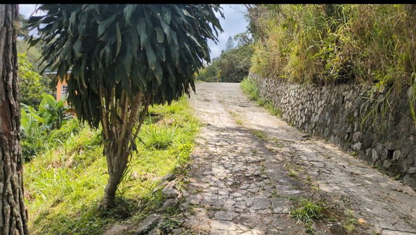 Tenth image of Land-1a & 1b Dublin Castle, Craig Hill in Gordon Town P.O., St. Andrew, Jamaica - property is For Sale